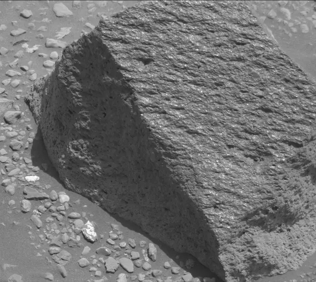 Sol 2020: Mast Camera (Mastcam)