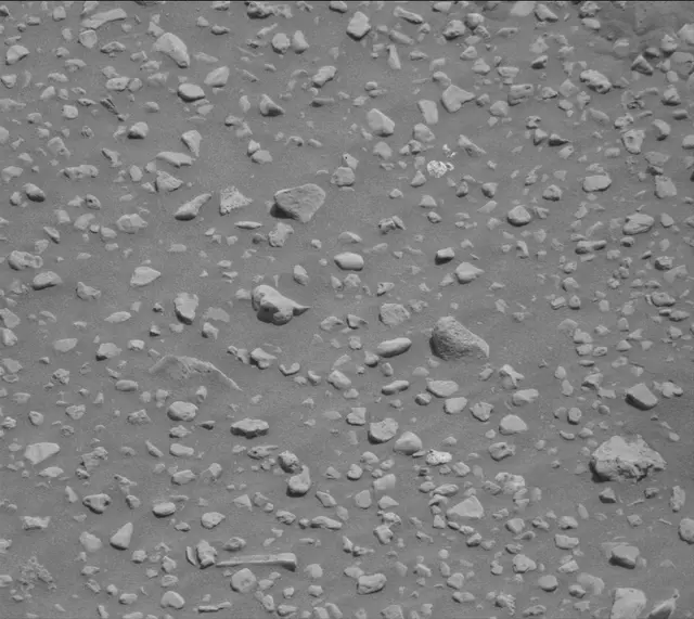 Sol 2020: Mast Camera (Mastcam)