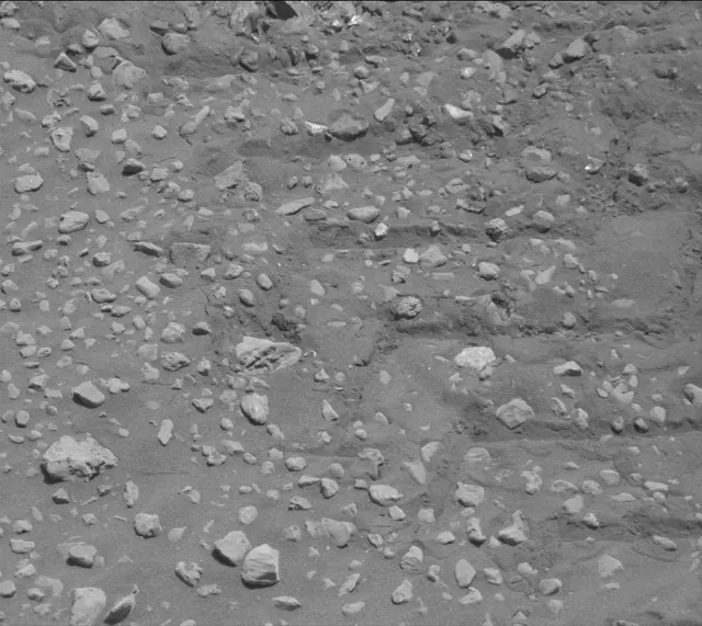 Sol 2020: Mast Camera (Mastcam)
