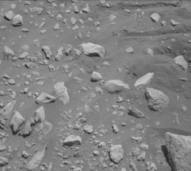 Sol 2020: Mast Camera (Mastcam)