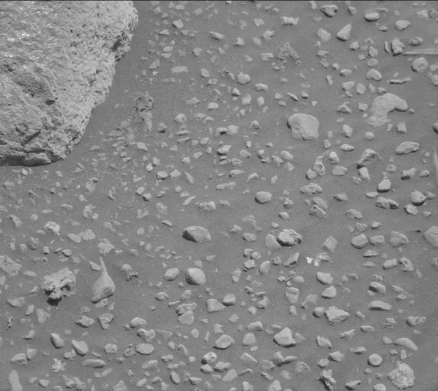 Sol 2020: Mast Camera (Mastcam)