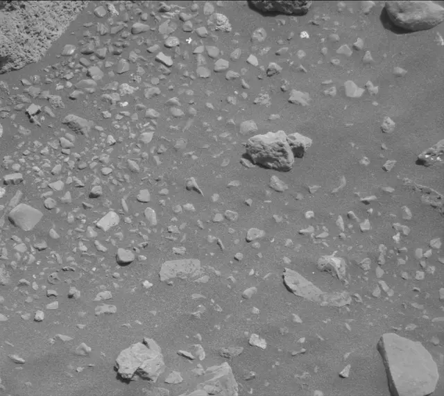 Sol 2020: Mast Camera (Mastcam)
