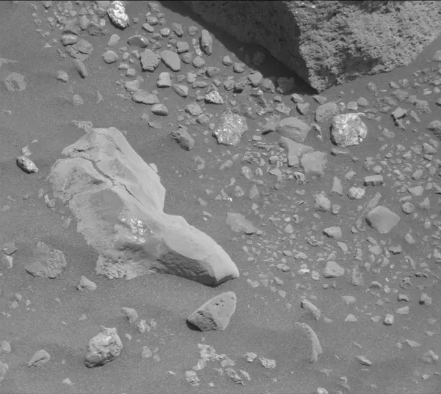 Sol 2020: Mast Camera (Mastcam)