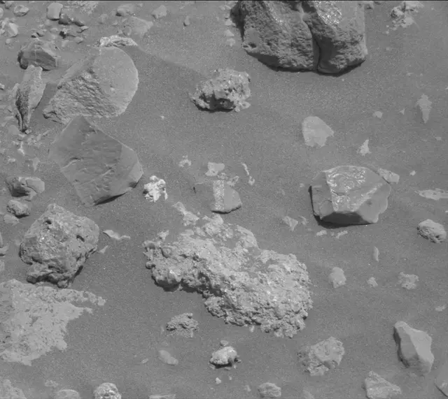 Sol 2020: Mast Camera (Mastcam)