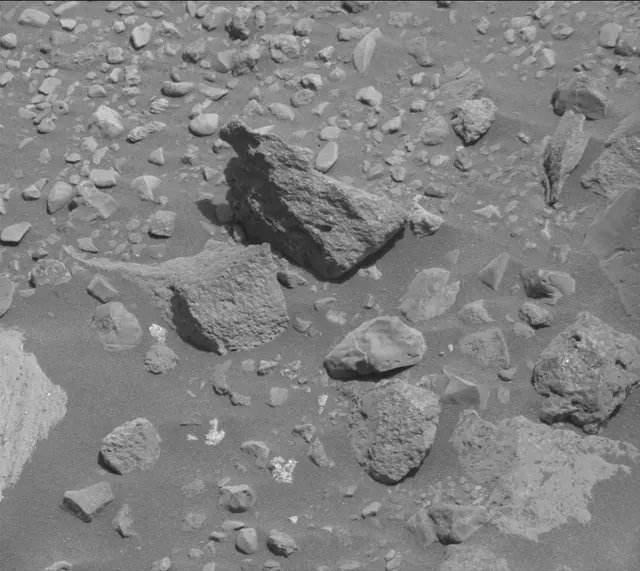 Sol 2020: Mast Camera (Mastcam)