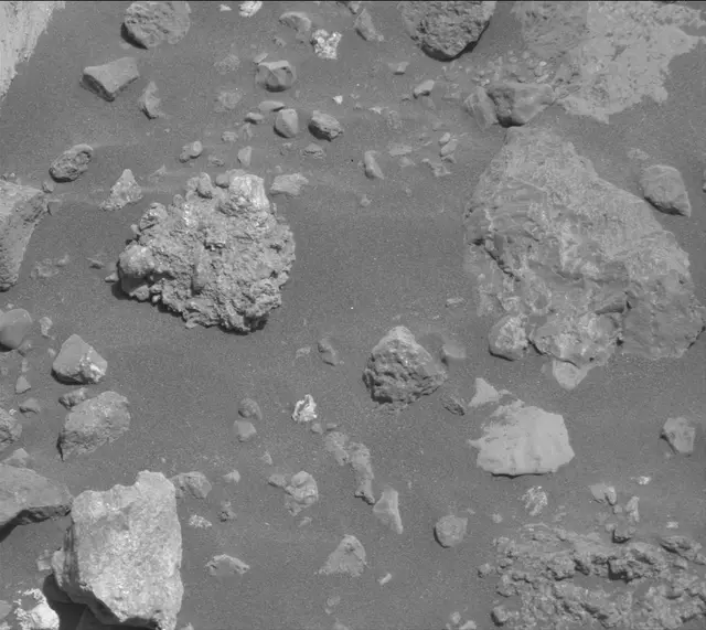 Sol 2020: Mast Camera (Mastcam)