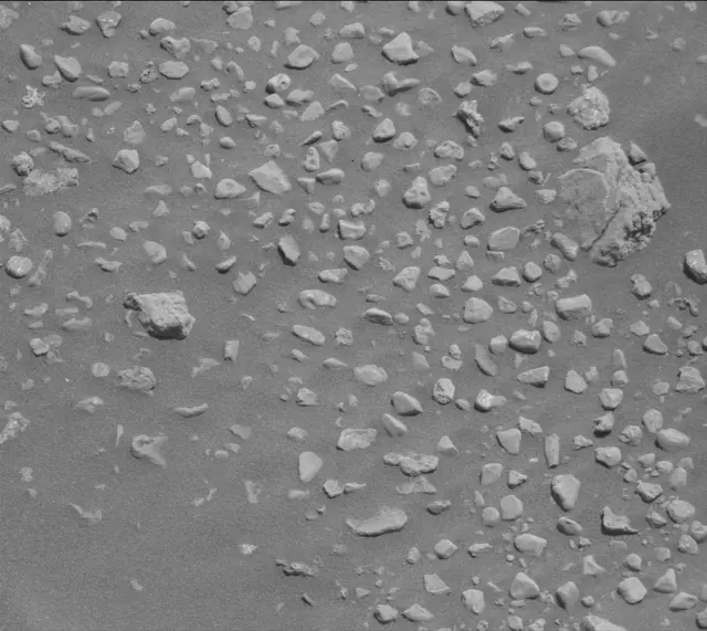 Sol 2020: Mast Camera (Mastcam)