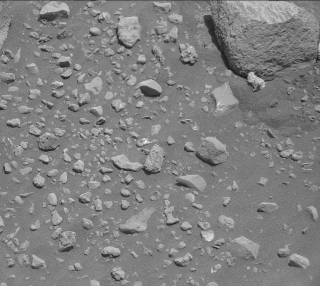 Sol 2020: Mast Camera (Mastcam)