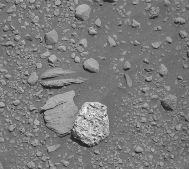 Sol 2020: Mast Camera (Mastcam)