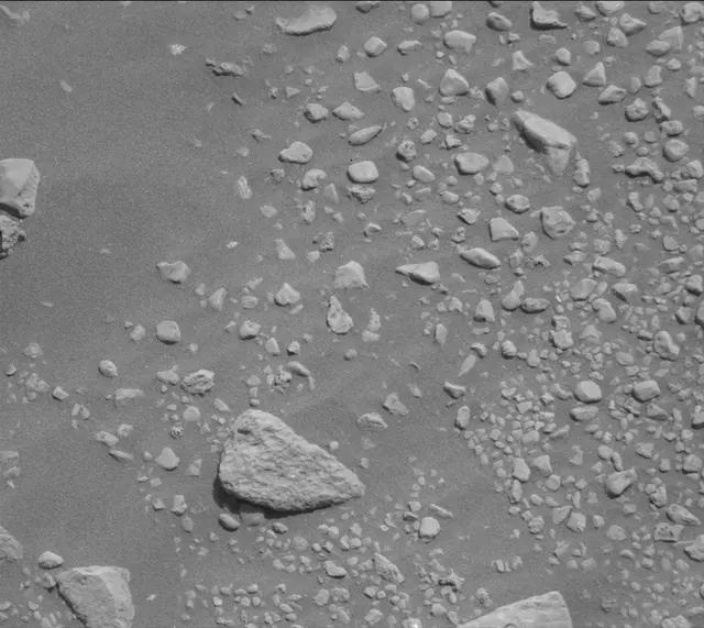 Sol 2020: Mast Camera (Mastcam)