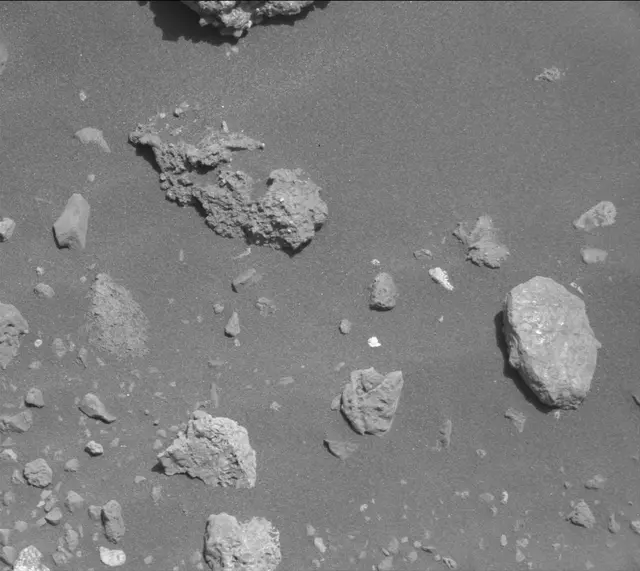 Sol 2020: Mast Camera (Mastcam)