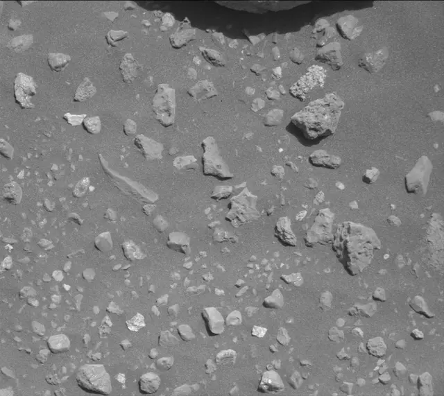 Sol 2020: Mast Camera (Mastcam)
