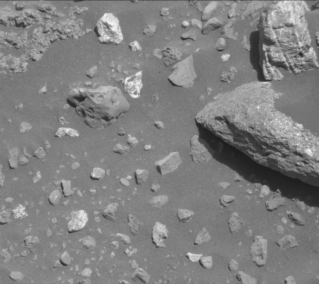 Sol 2020: Mast Camera (Mastcam)