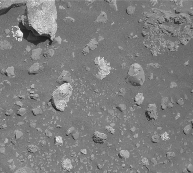 Sol 2020: Mast Camera (Mastcam)