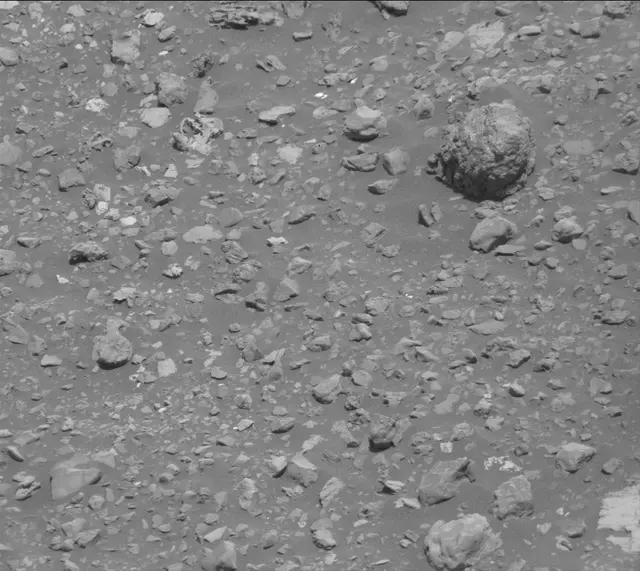 Sol 2020: Mast Camera (Mastcam)