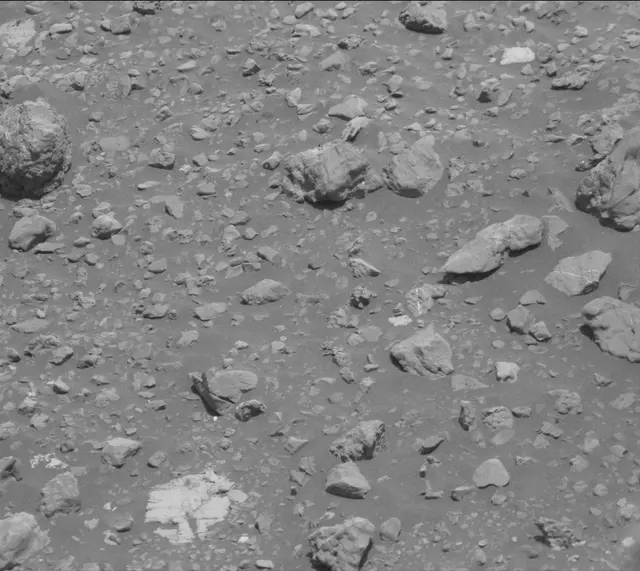 Sol 2020: Mast Camera (Mastcam)