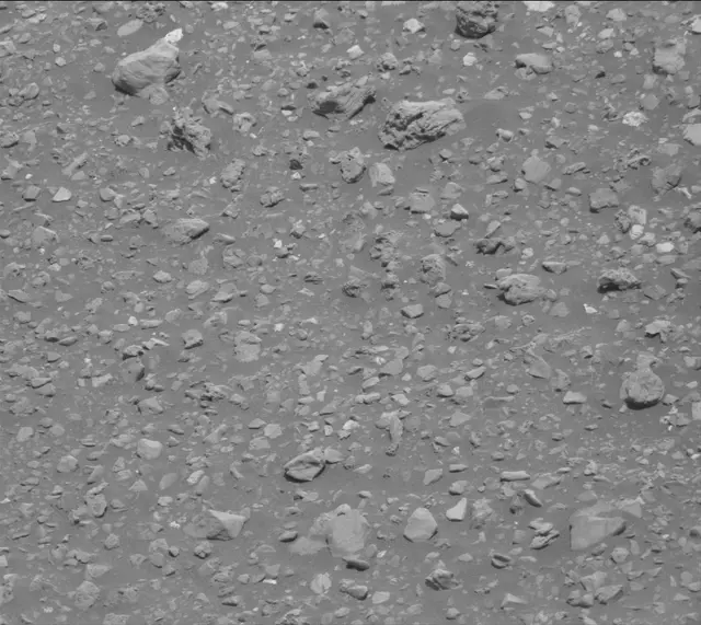 Sol 2020: Mast Camera (Mastcam)