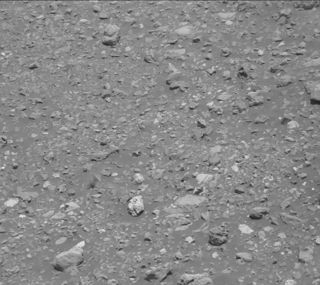 Sol 2020: Mast Camera (Mastcam)