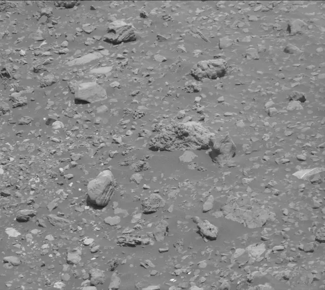 Sol 2020: Mast Camera (Mastcam)