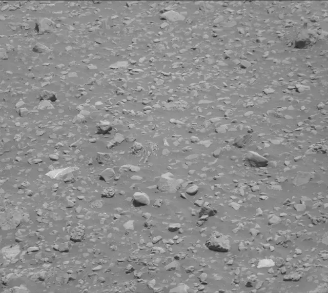Sol 2020: Mast Camera (Mastcam)