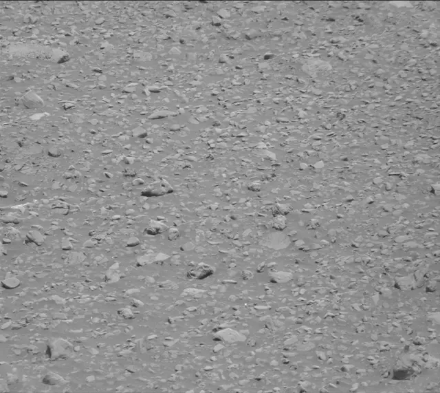 Sol 2020: Mast Camera (Mastcam)