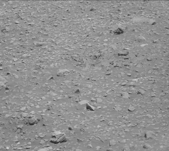 Sol 2020: Mast Camera (Mastcam)