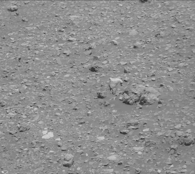 Sol 2020: Mast Camera (Mastcam)