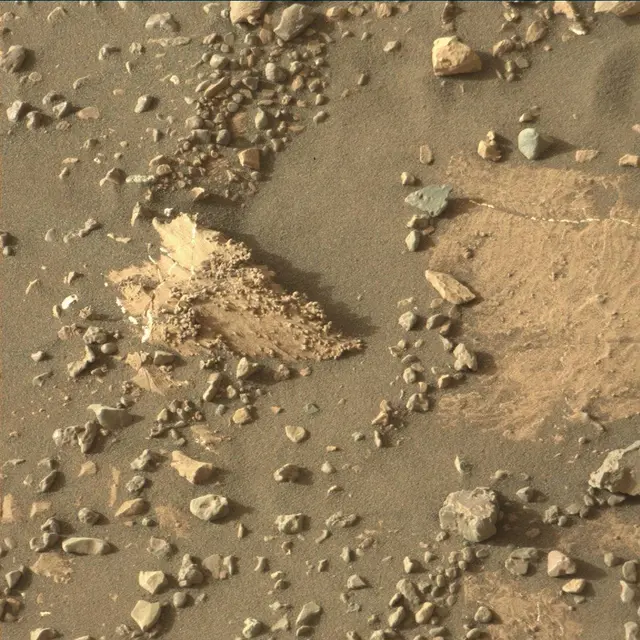 Sol 2020: Mast Camera (Mastcam)