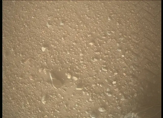 Sol 2021: Mars Descent Imager (MARDI)