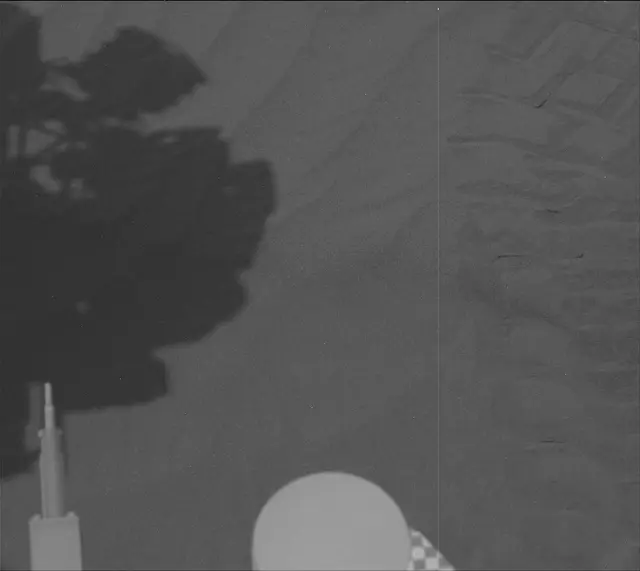 Sol 2025: Mast Camera (Mastcam)