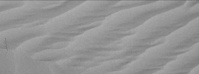 Sol 2025: Mast Camera (Mastcam)