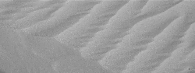 Sol 2025: Mast Camera (Mastcam)