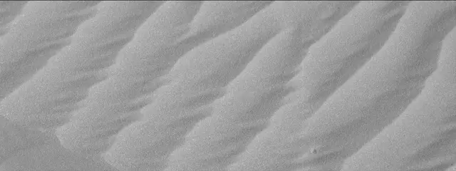 Sol 2025: Mast Camera (Mastcam)