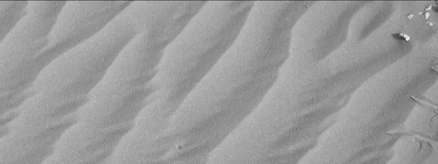 Sol 2025: Mast Camera (Mastcam)