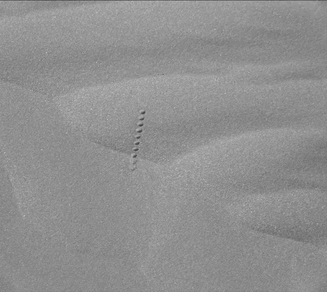 Sol 2025: Mast Camera (Mastcam)