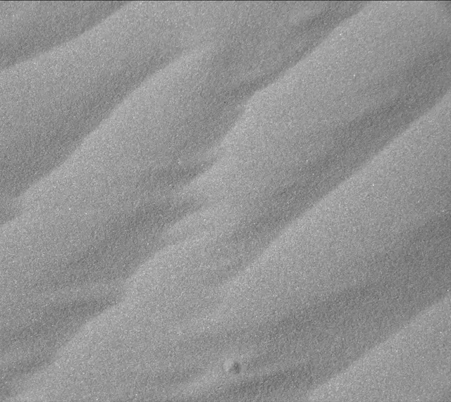 Sol 2025: Mast Camera (Mastcam)