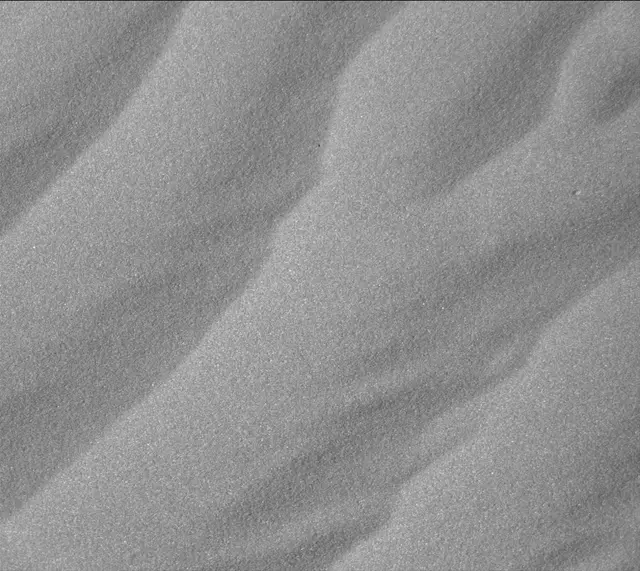 Sol 2025: Mast Camera (Mastcam)