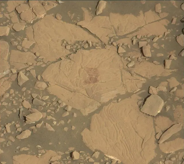 Sol 2038: Mast Camera (Mastcam)