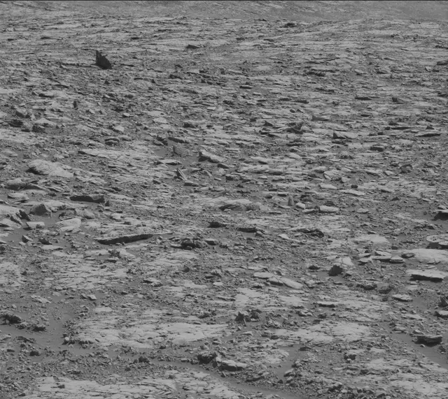 Sol 2039: Mast Camera (Mastcam)