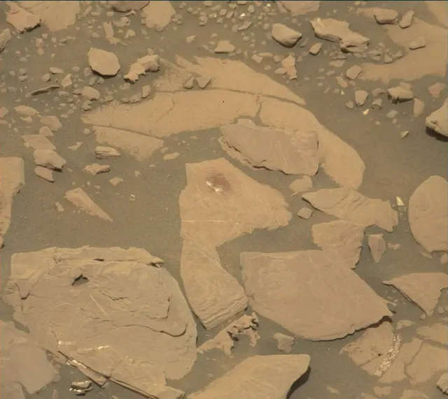 Sol 2041: Mast Camera (Mastcam)