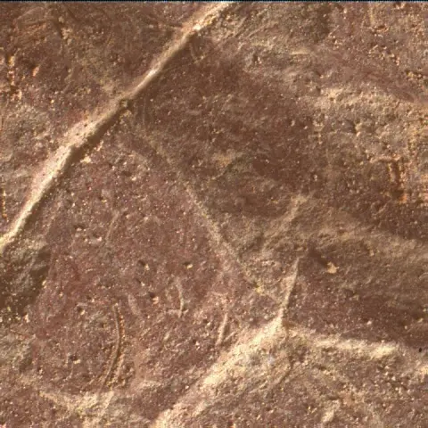 Sol 2042: Mars Hand Lens Imager (MAHLI)