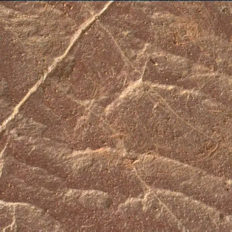 Sol 2042: Mars Hand Lens Imager (MAHLI)