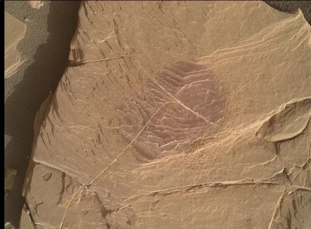 Sol 2042: Mars Hand Lens Imager (MAHLI)