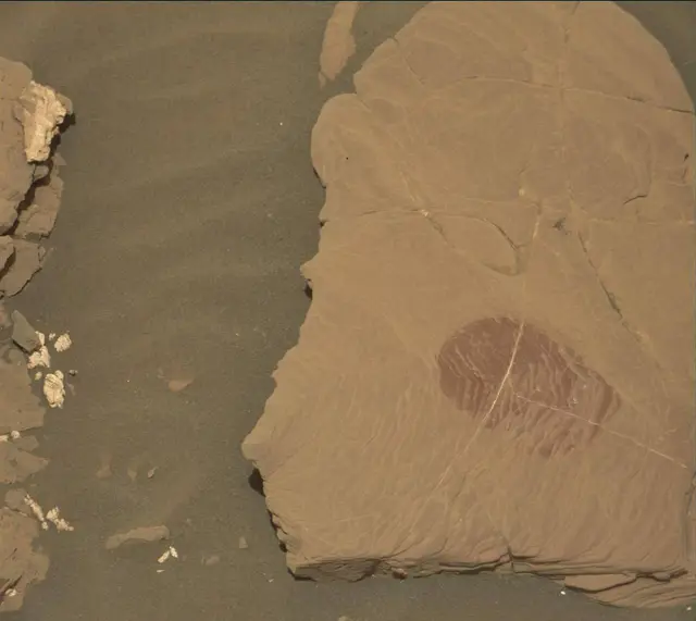 Sol 2043: Mast Camera (Mastcam)