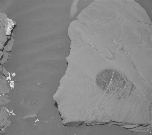 Sol 2043: Mast Camera (Mastcam)