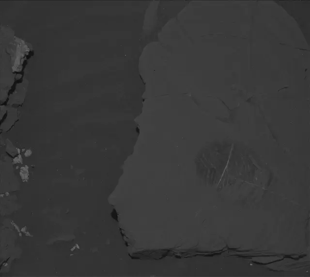 Sol 2043: Mast Camera (Mastcam)