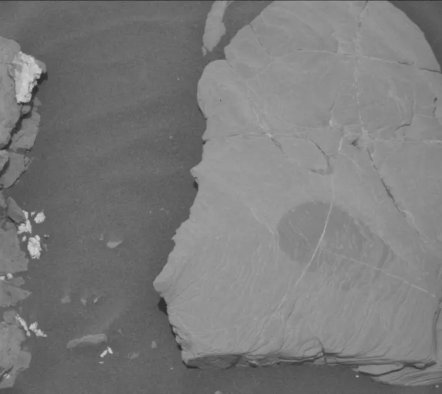 Sol 2043: Mast Camera (Mastcam)