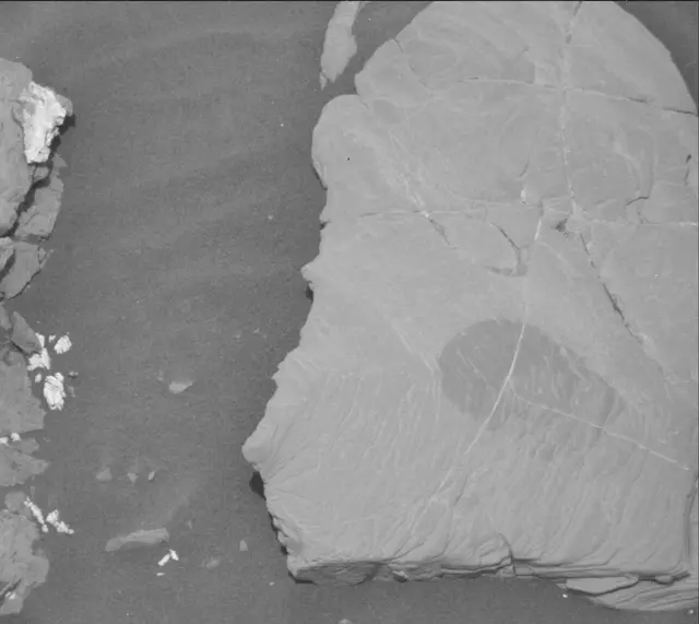 Sol 2043: Mast Camera (Mastcam)