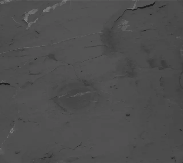 Sol 2050: Mast Camera (Mastcam)