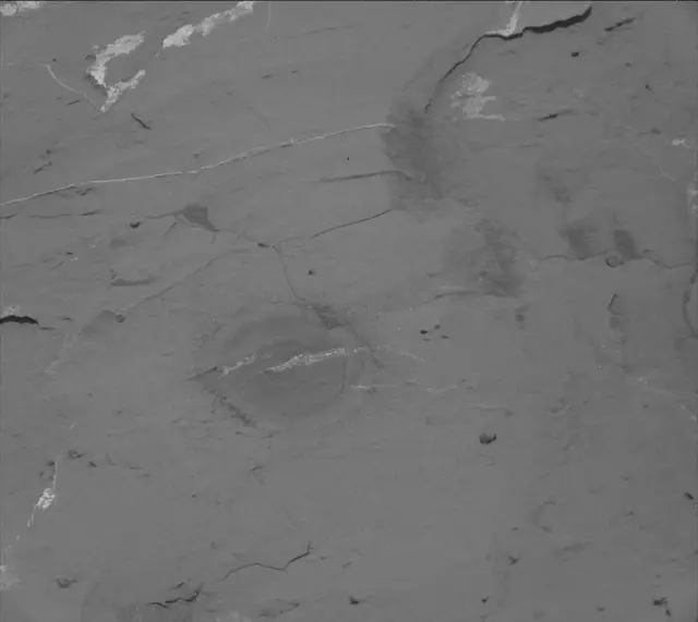 Sol 2050: Mast Camera (Mastcam)